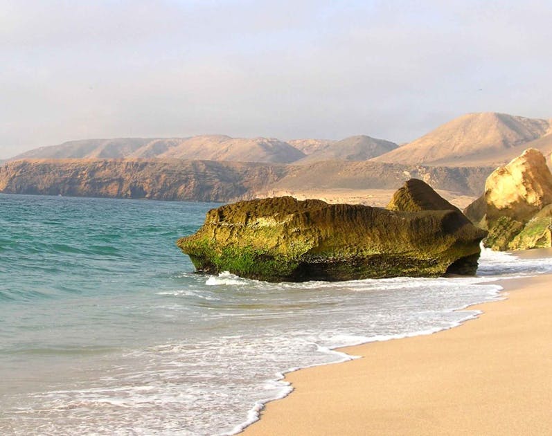 Arabian-Persian Gulf Coastal Plain Desert | One Earth